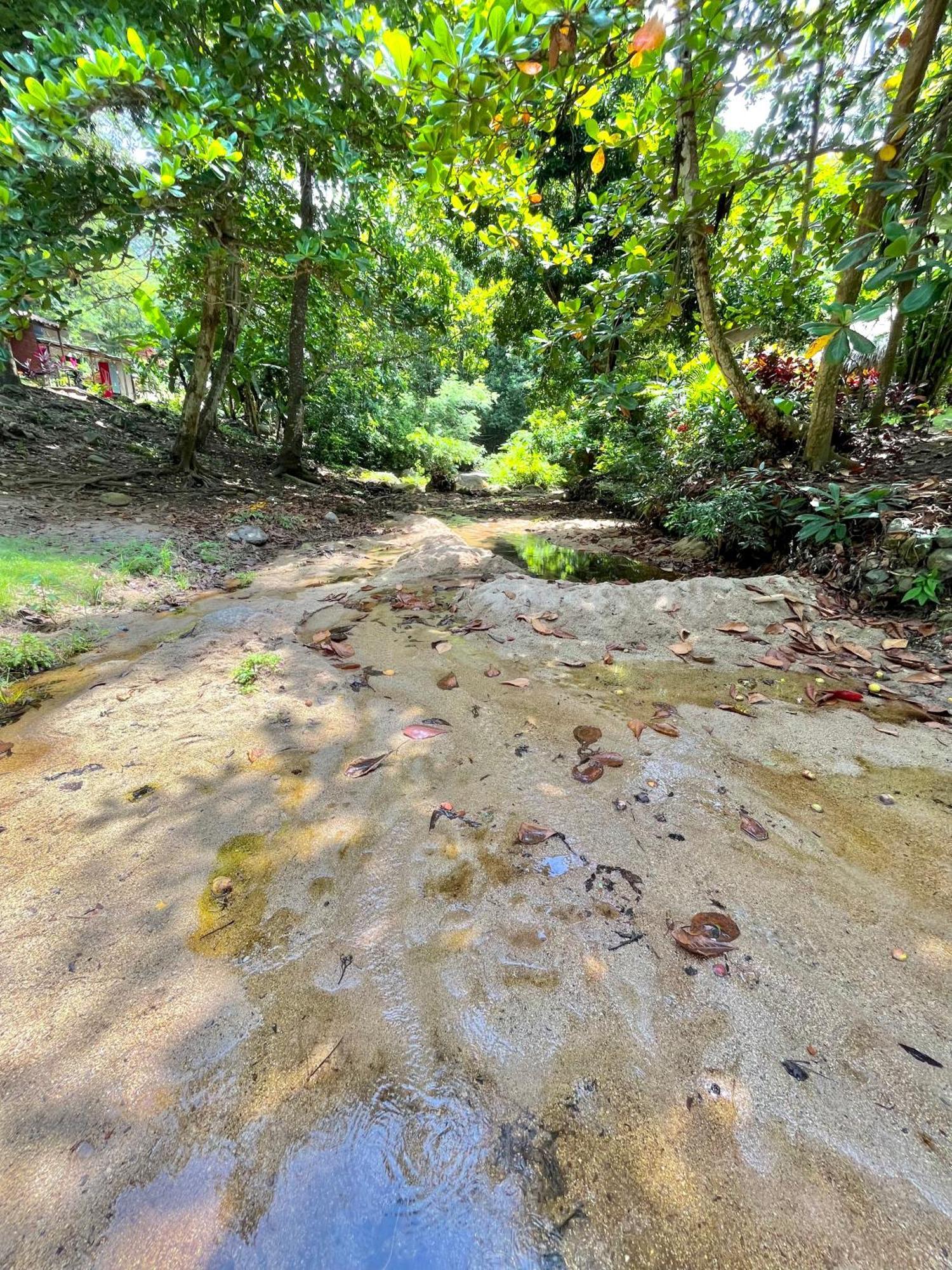 Santuario Tayrona Hostel Calabazo  ภายนอก รูปภาพ