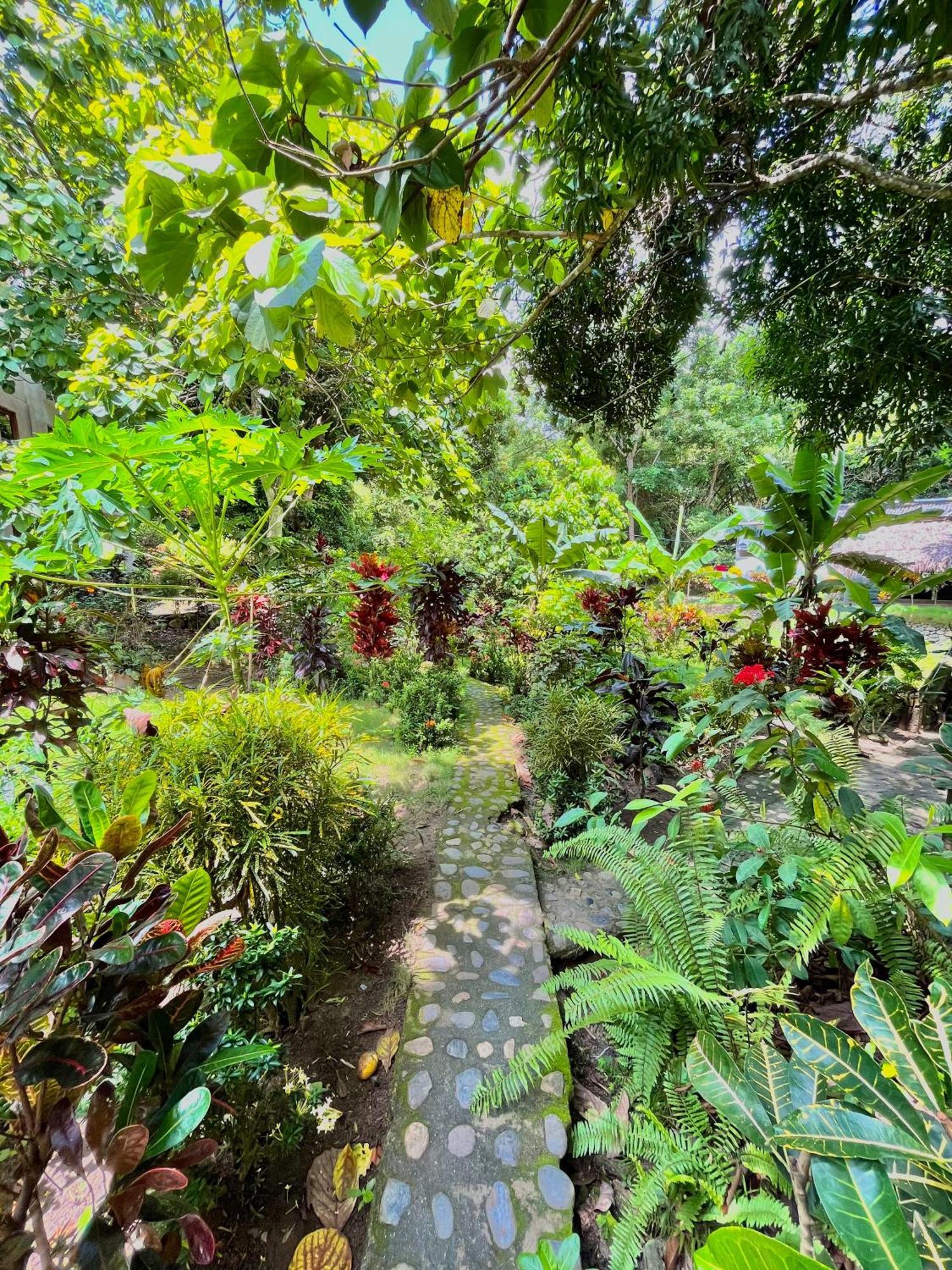 Santuario Tayrona Hostel Calabazo  ภายนอก รูปภาพ
