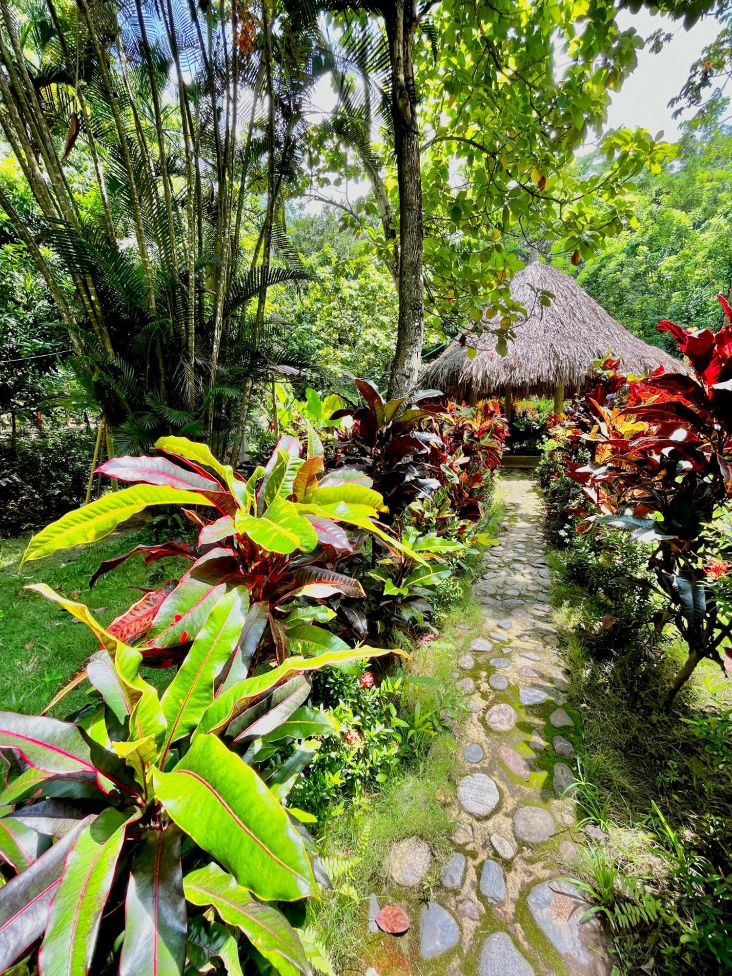 Santuario Tayrona Hostel Calabazo  ภายนอก รูปภาพ