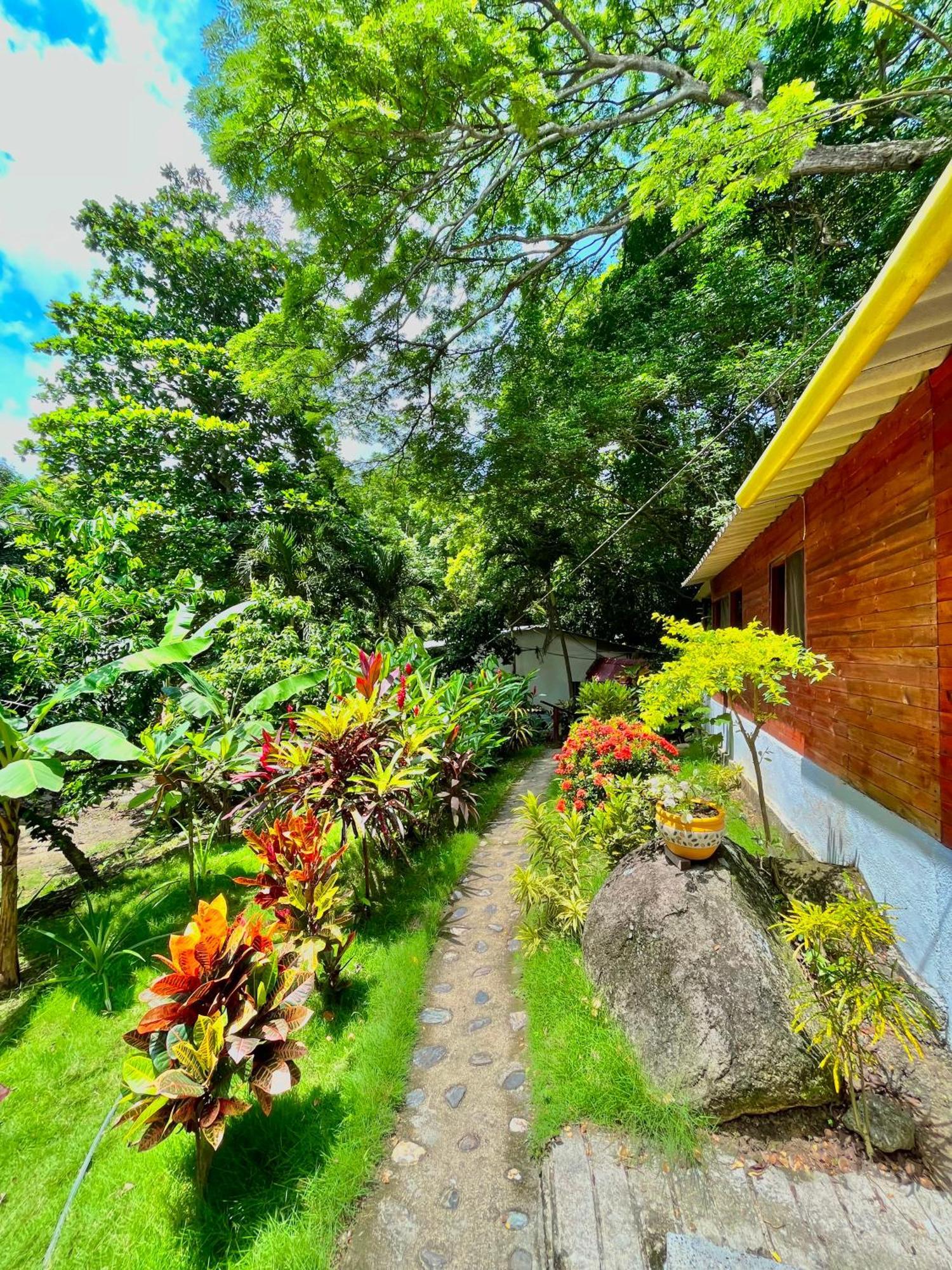 Santuario Tayrona Hostel Calabazo  ภายนอก รูปภาพ